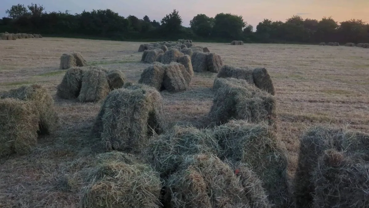 Small square bales of meadow hay
