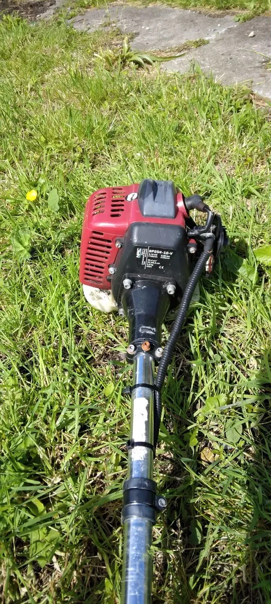 Powerfull strimmer - Image 1
