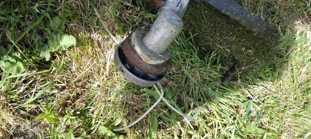 Powerfull strimmer - Image 3