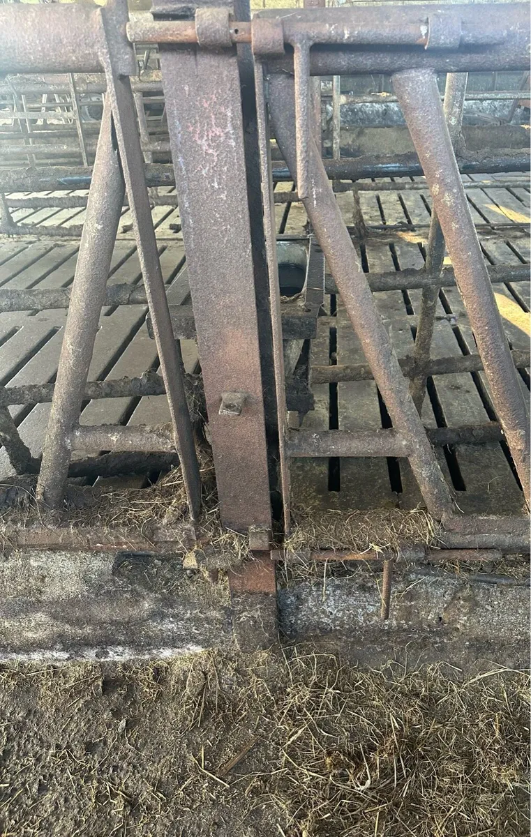 Feed Barriers - Image 3