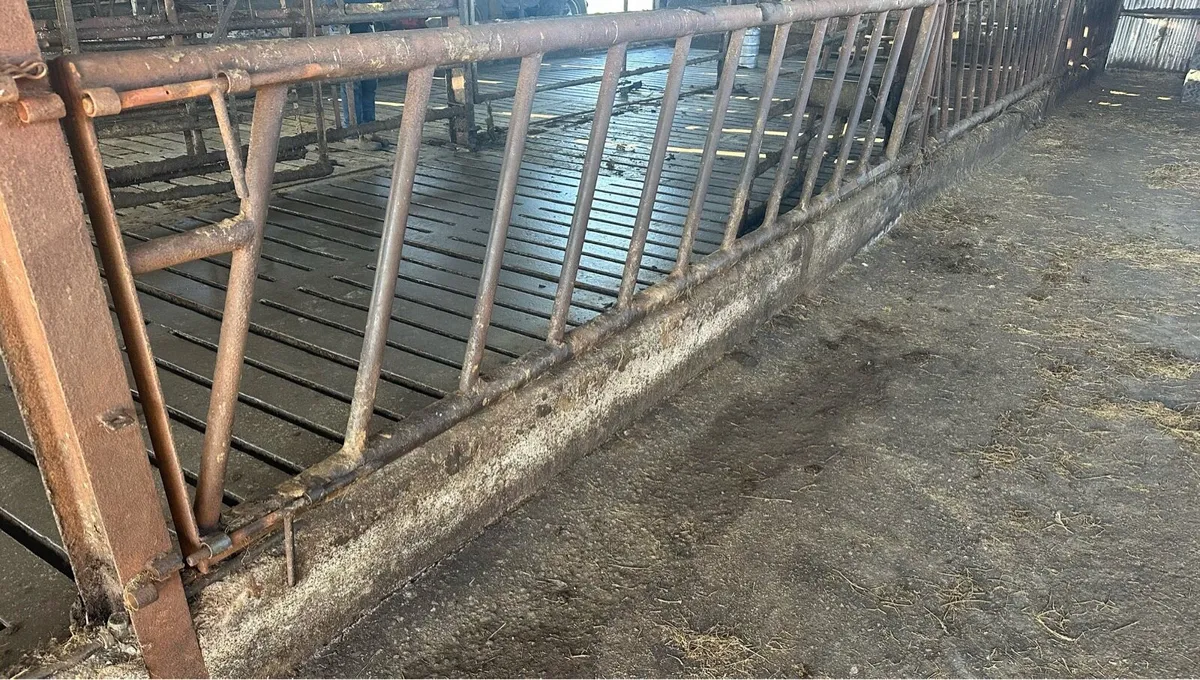 Feed Barriers - Image 4