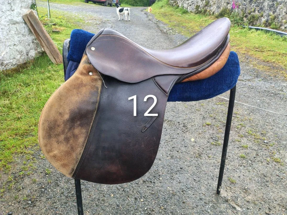 Saddle Clearance - Image 1