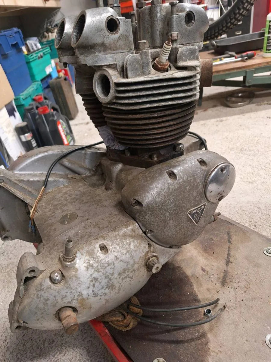 Triumph 6t - Image 2