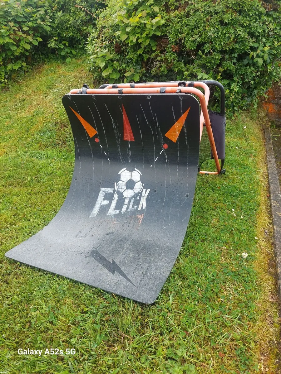 Free Rebounder - Image 1