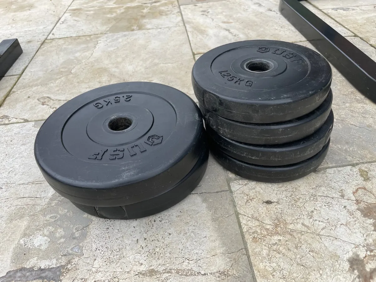 Gym Weightbench and Weights - Image 3