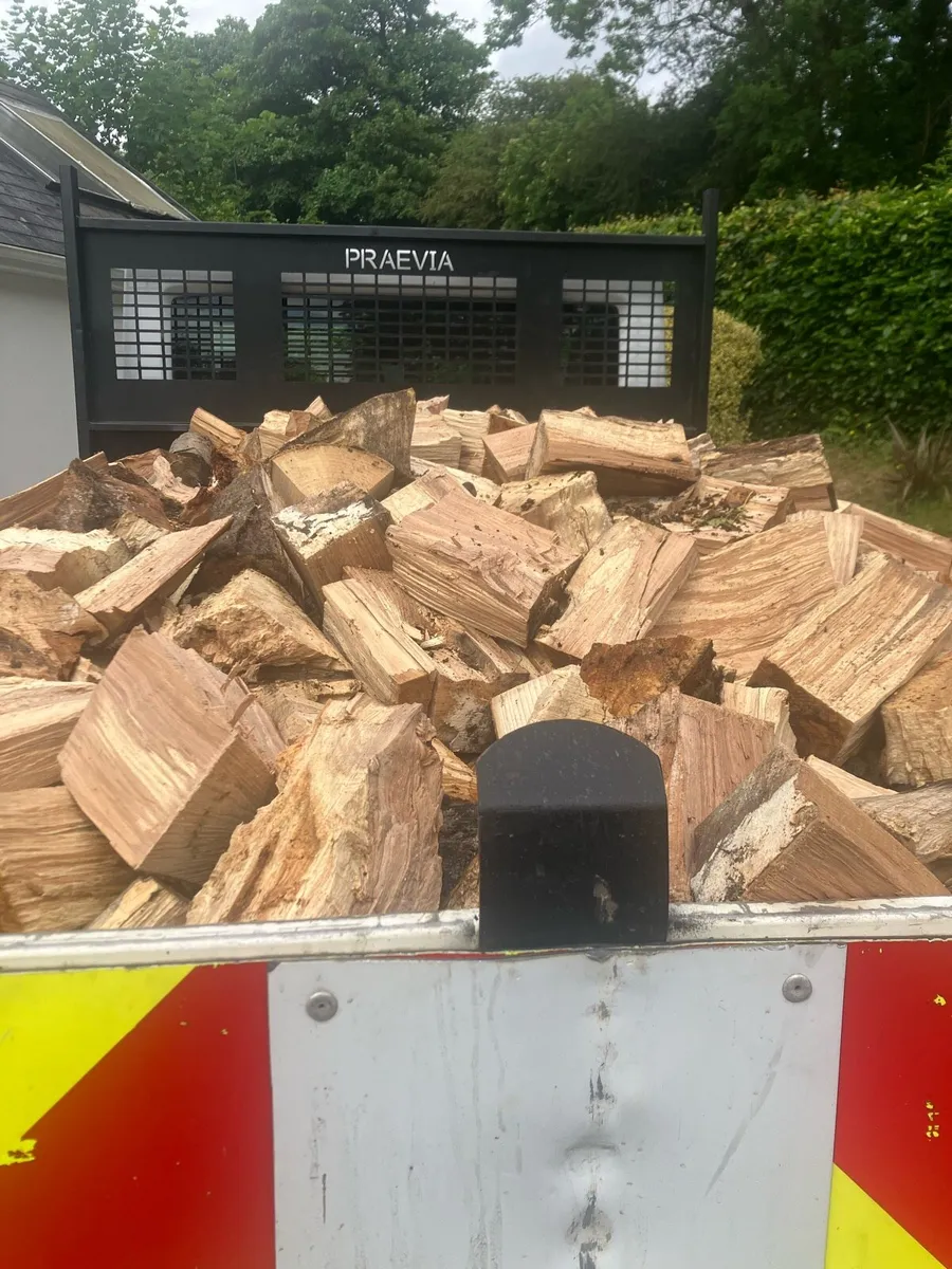 Firewood - Image 1