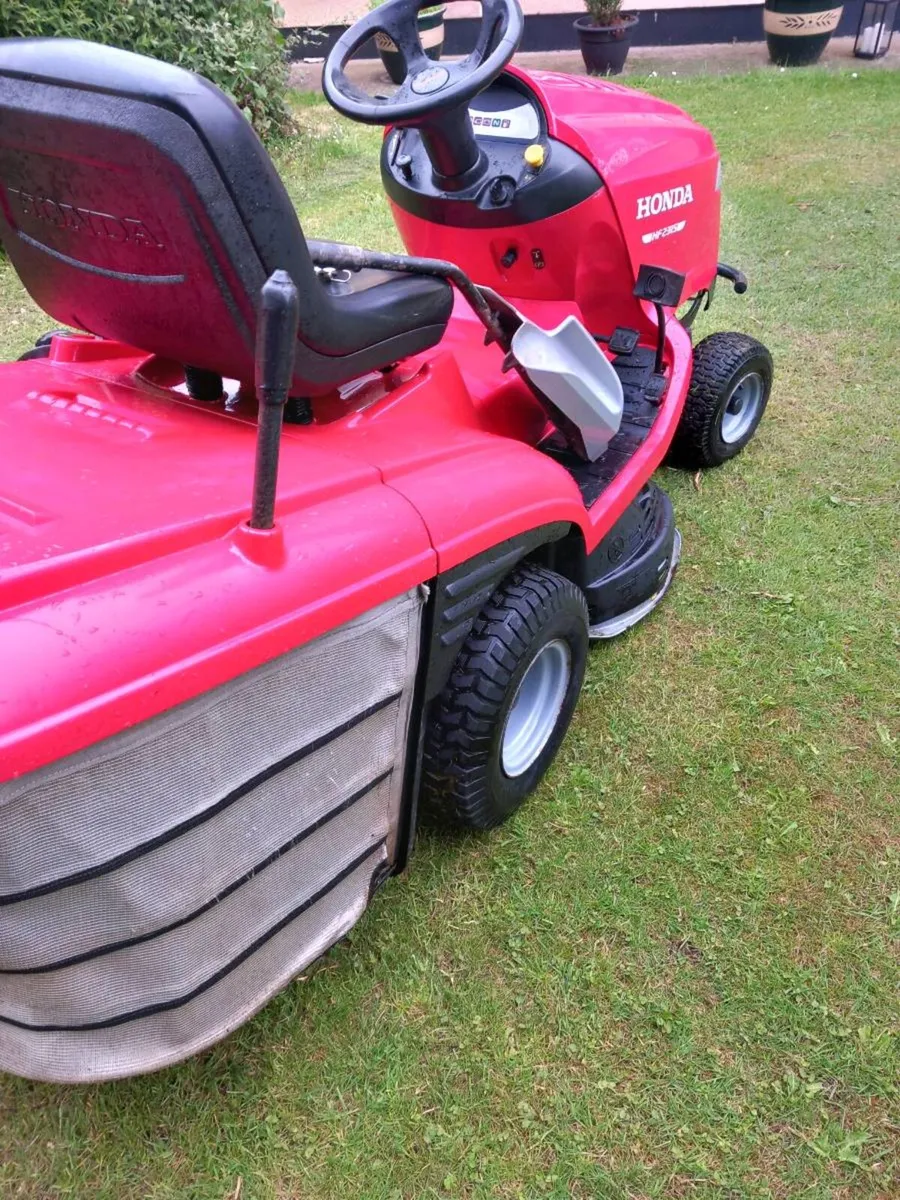 Honda - Image 4