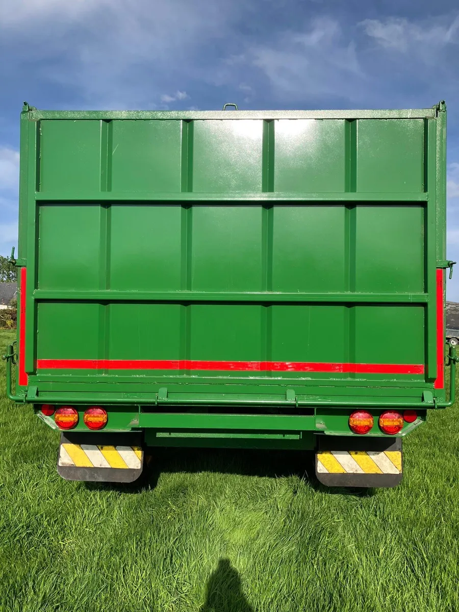 Grain - Image 4