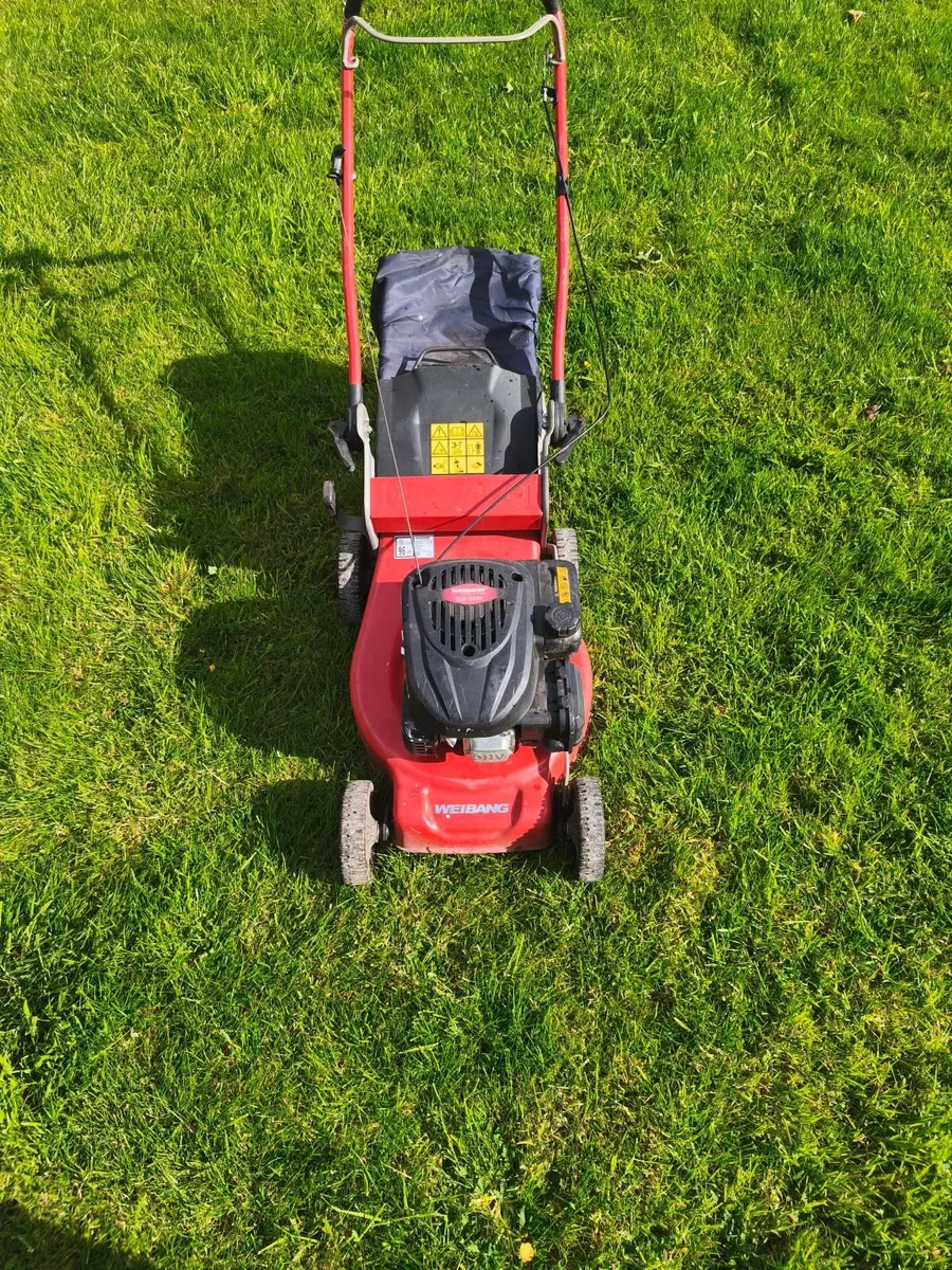 Push lawnmower - Image 1