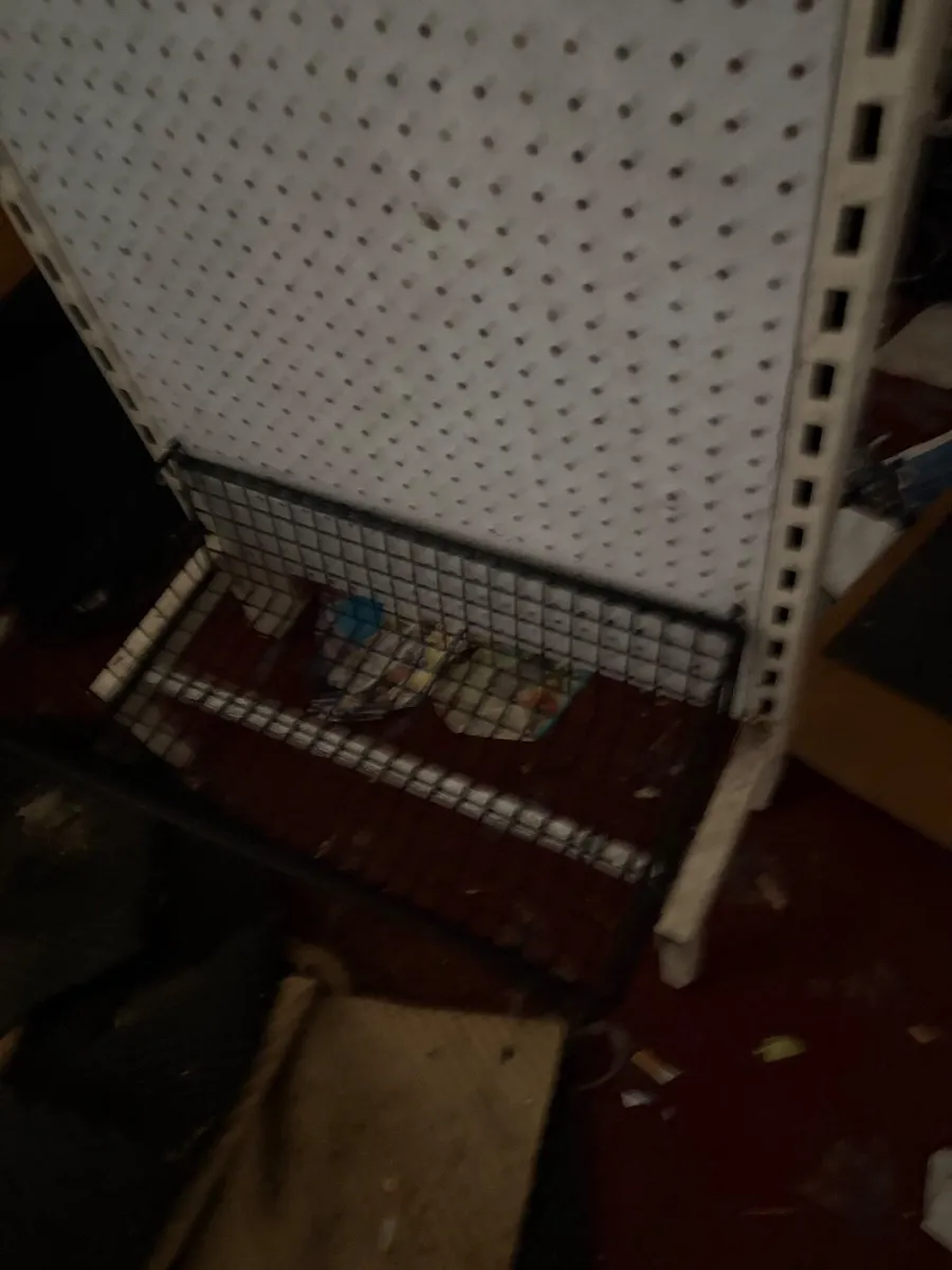 Metal shelf rack - Image 2