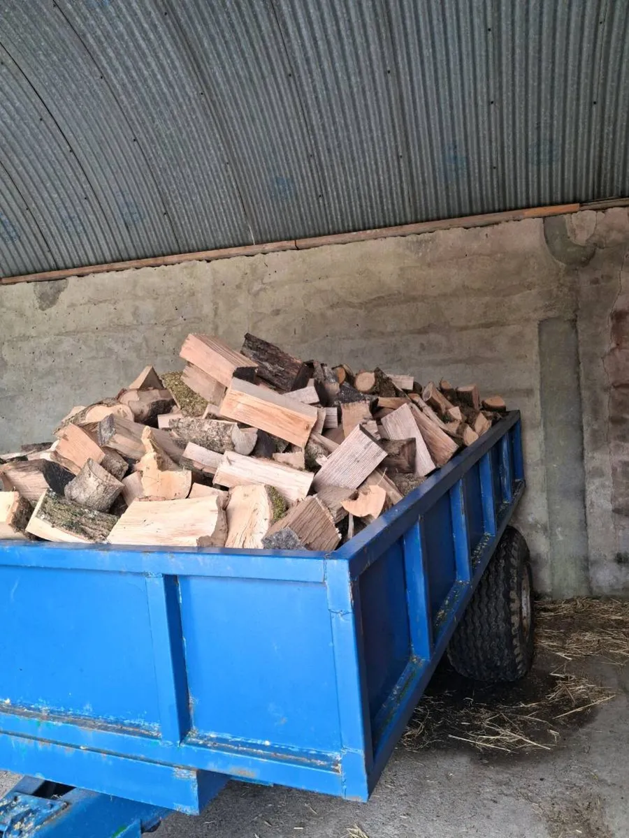 Firewood - Image 1