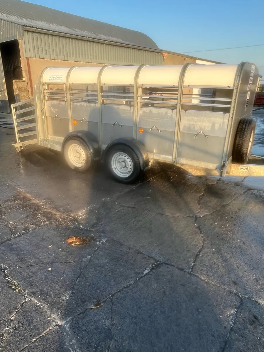 Ifor Williams 10x5 sheep trailer - Image 1