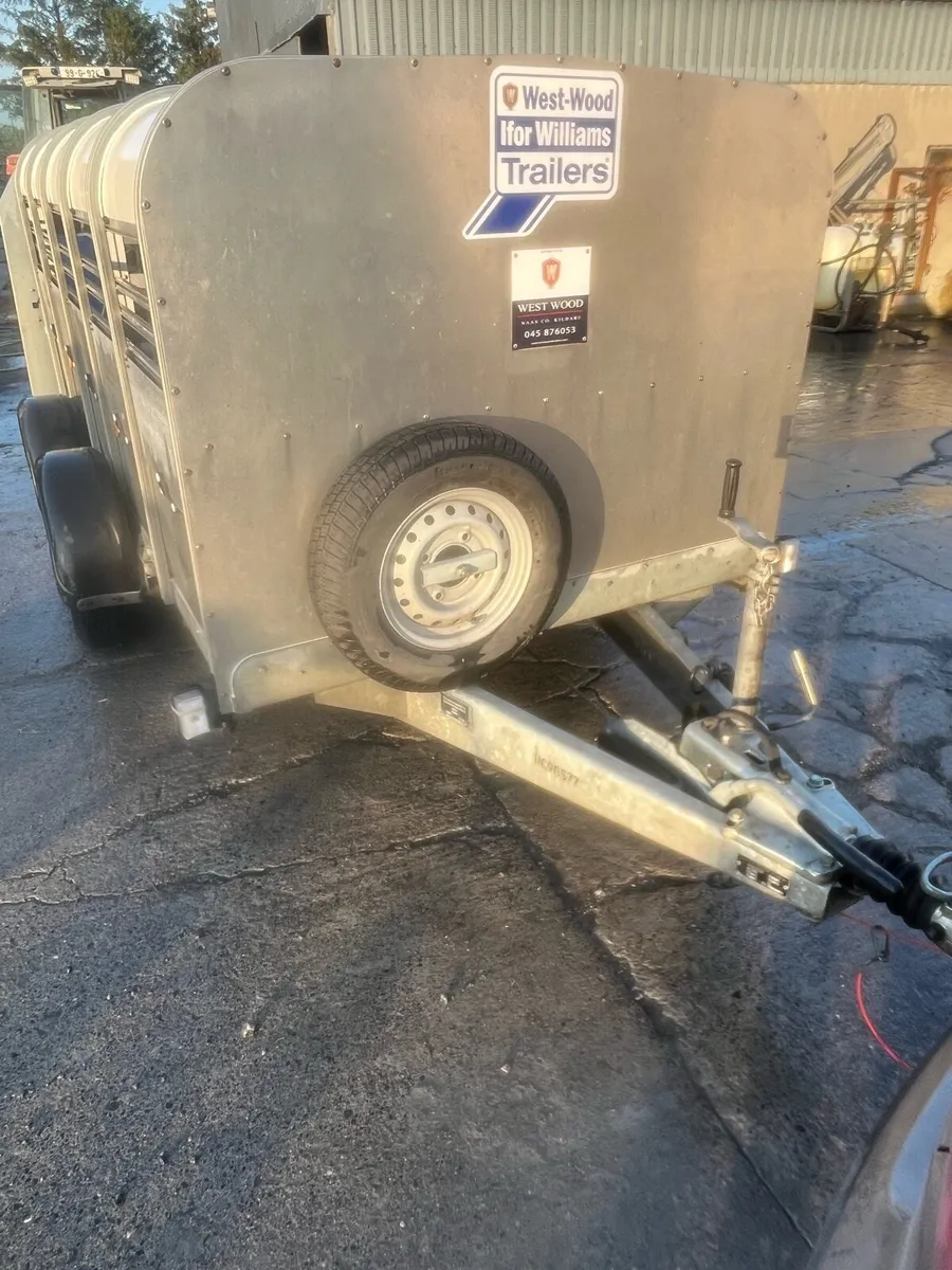 Ifor Williams 10x5 sheep trailer - Image 4