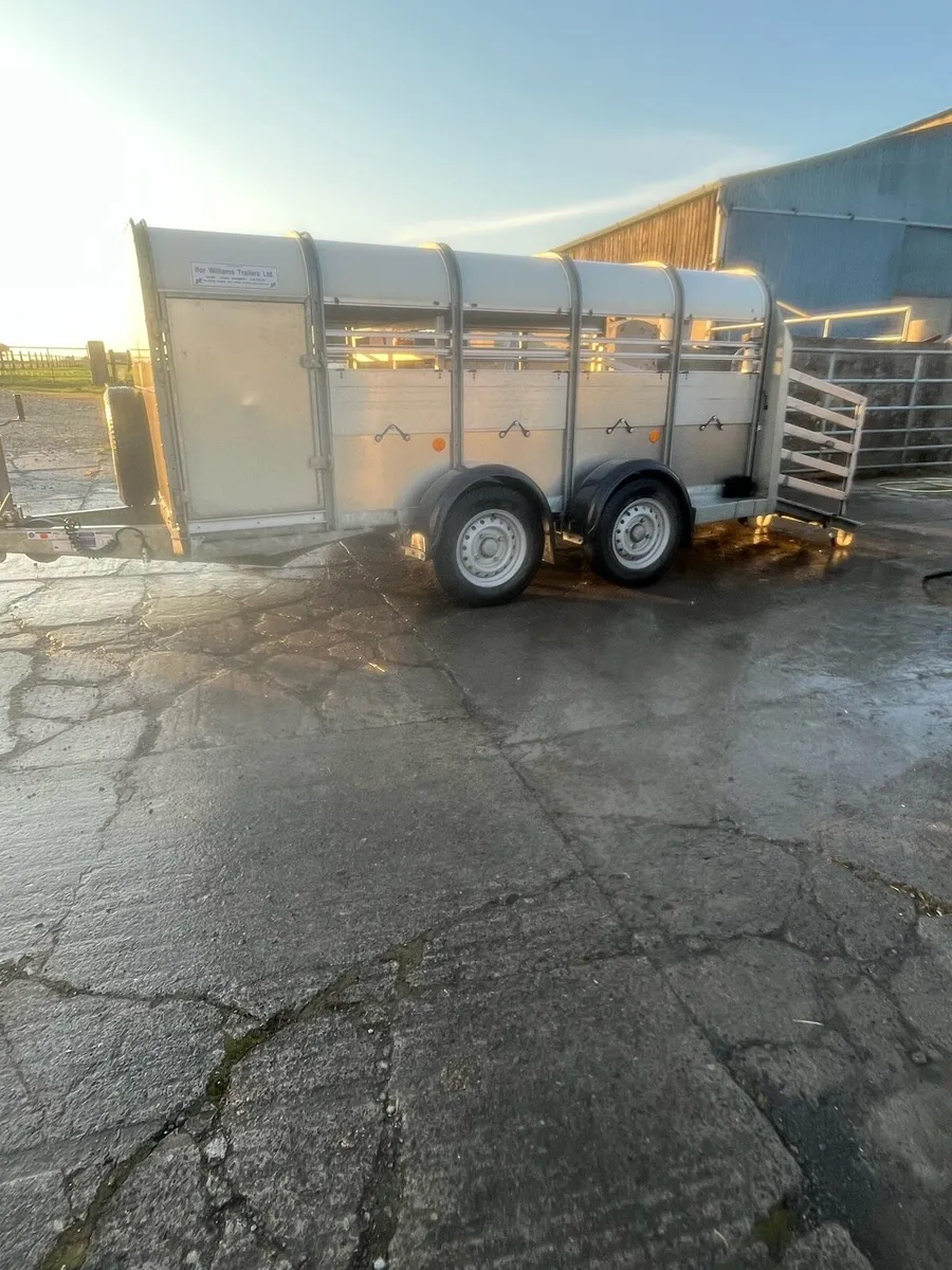 Ifor Williams 10x5 sheep trailer - Image 2