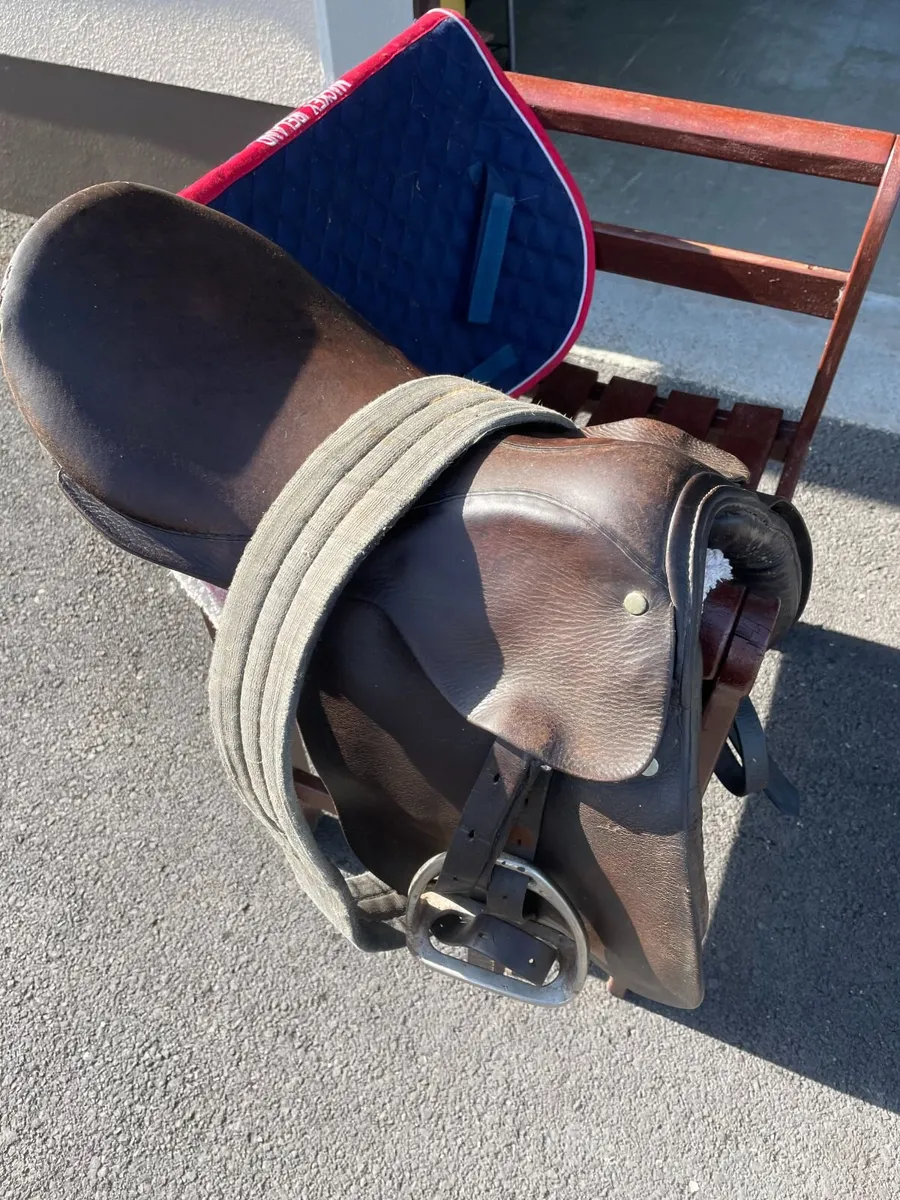 Berney 15.5” Saddle - Image 3