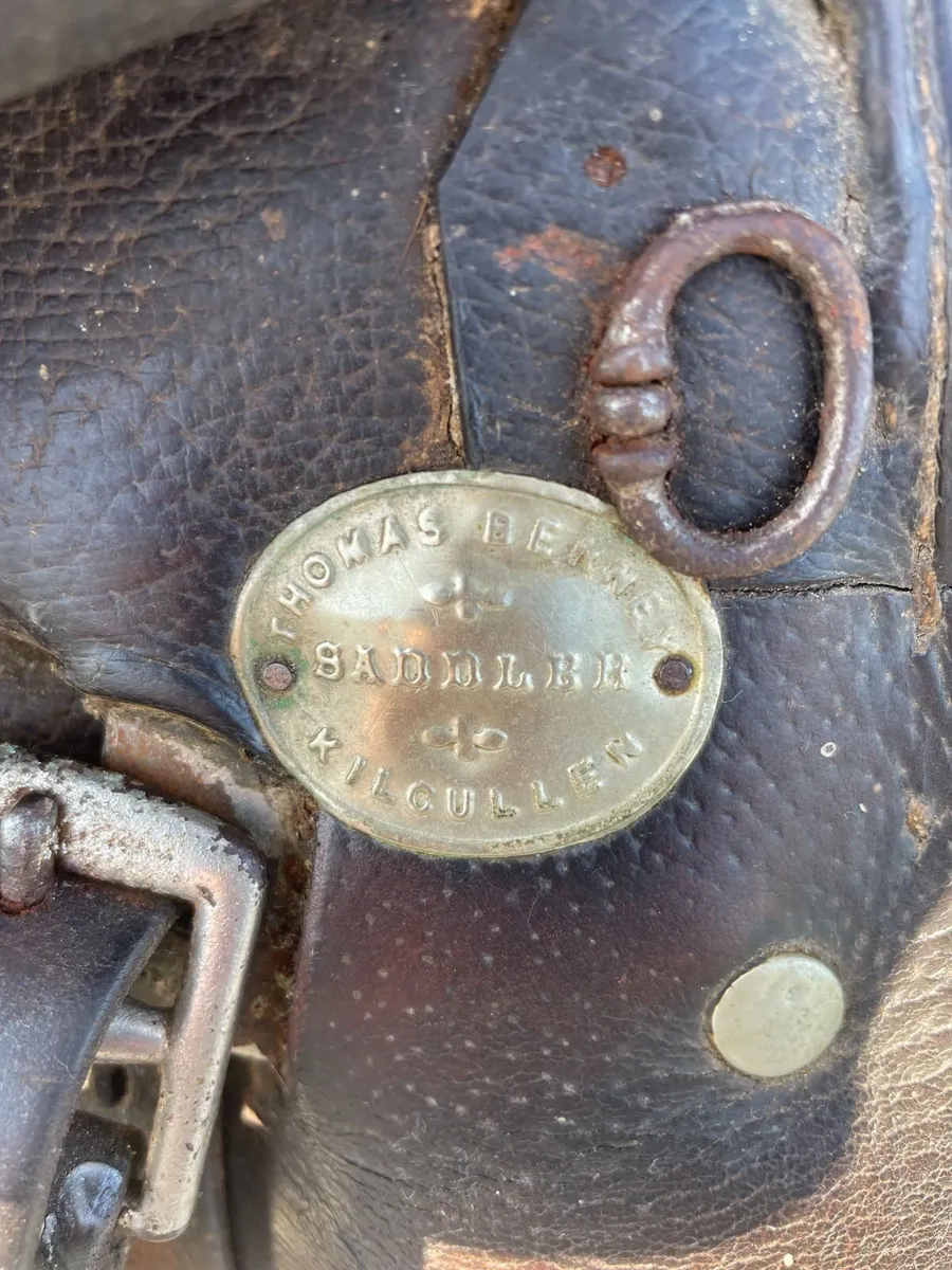 Berney 15.5” Saddle - Image 4