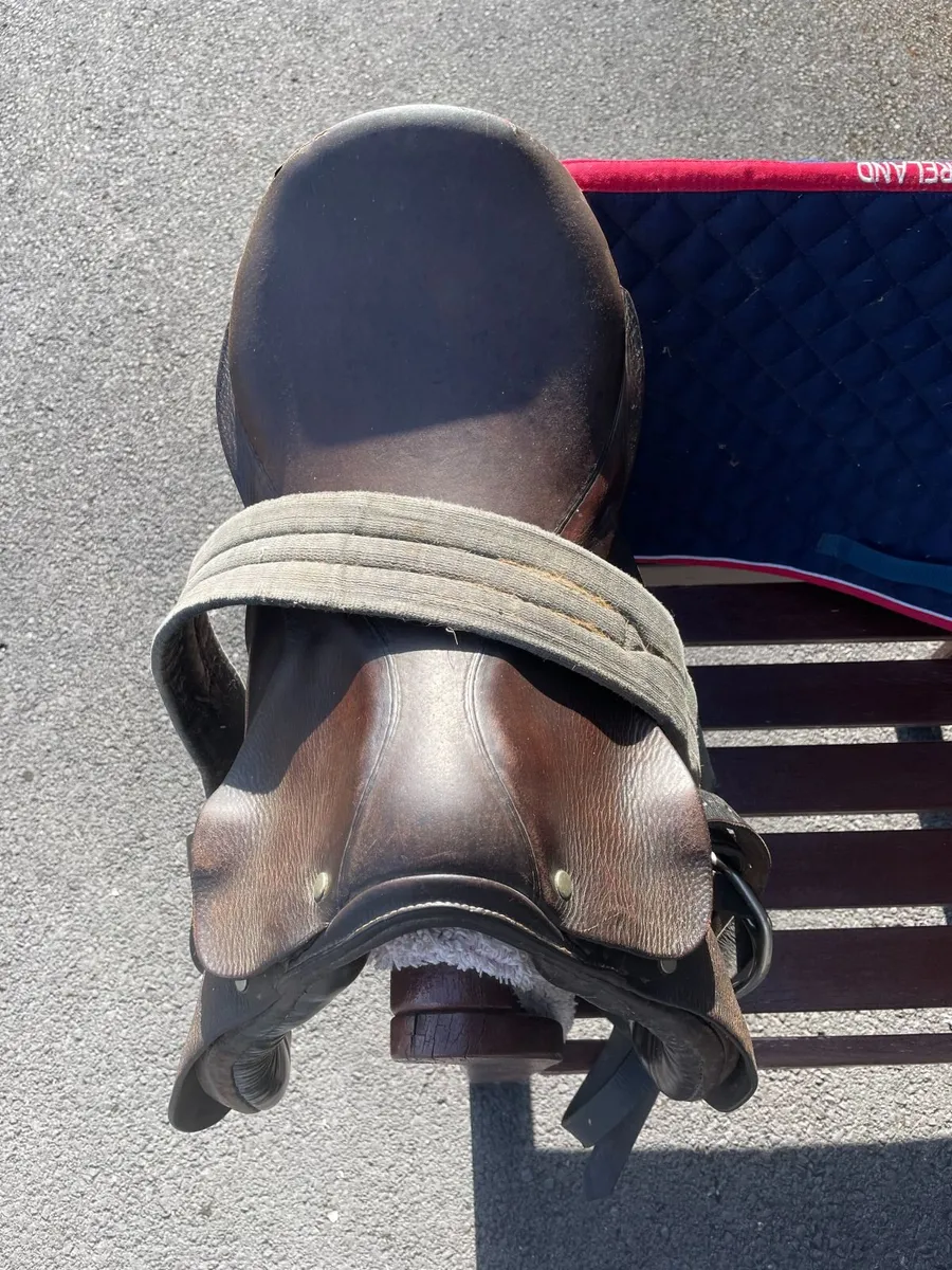 Berney 15.5” Saddle - Image 2