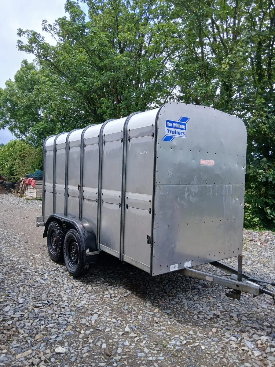 Ifor Williams cattle box 12ft - Image 2