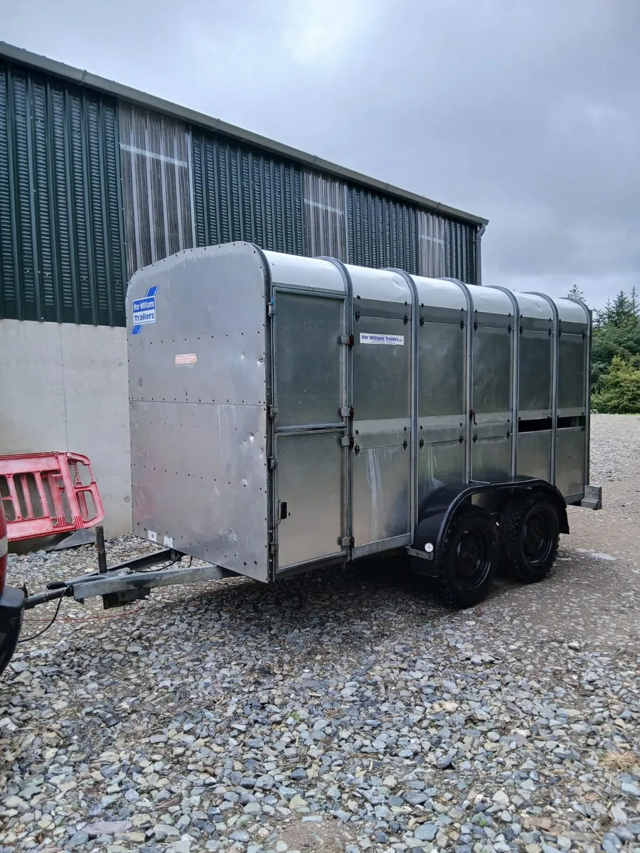 Ifor Williams cattle box 12ft - Image 1