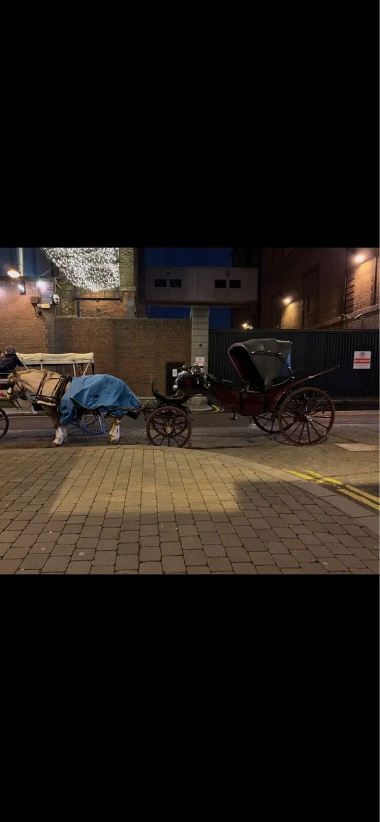 Horse drawn carriage - Image 1