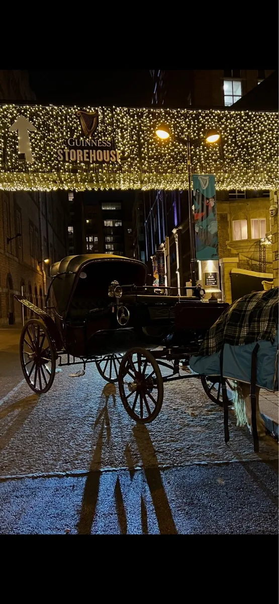 Horse drawn carriage - Image 2