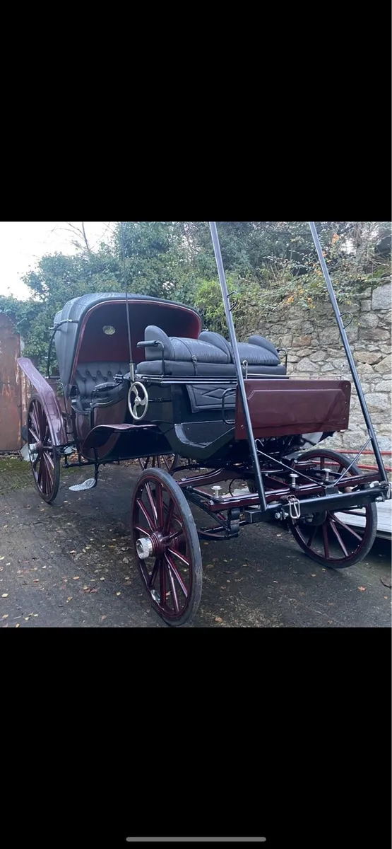 Horse drawn carriage - Image 3
