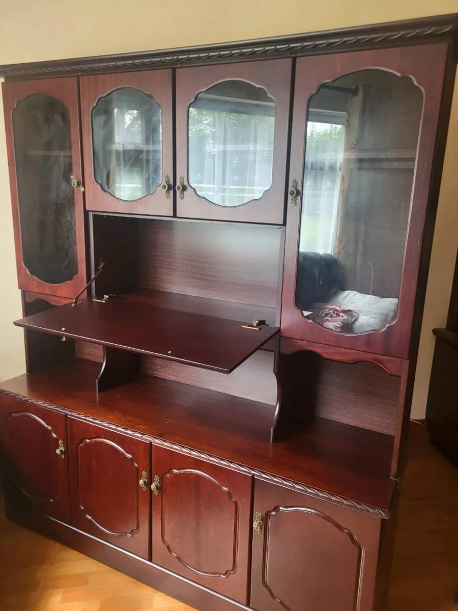 Mahogany Cabinet - Image 2