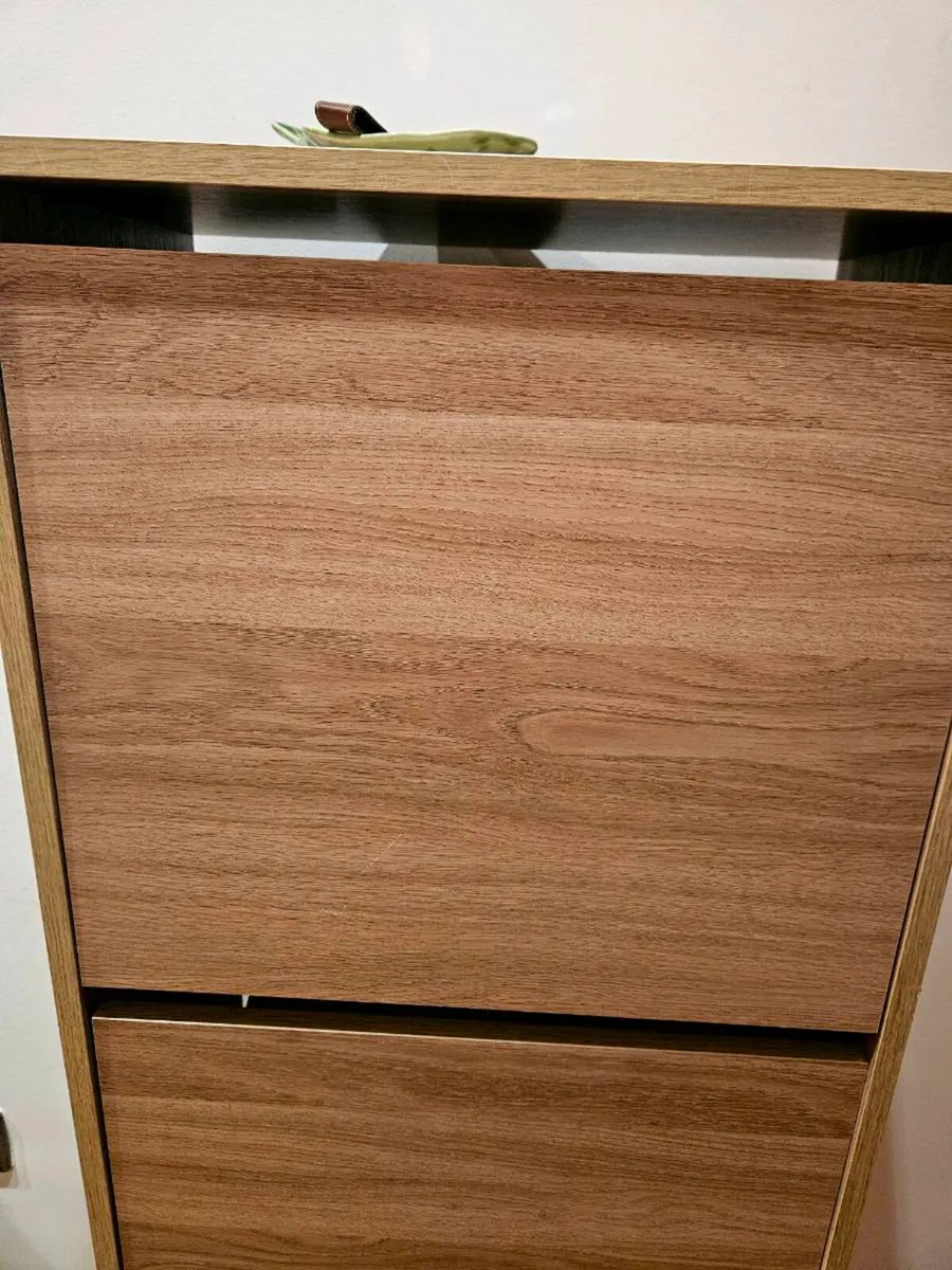 IKEA Bissa Shoe Cabinet - Image 4