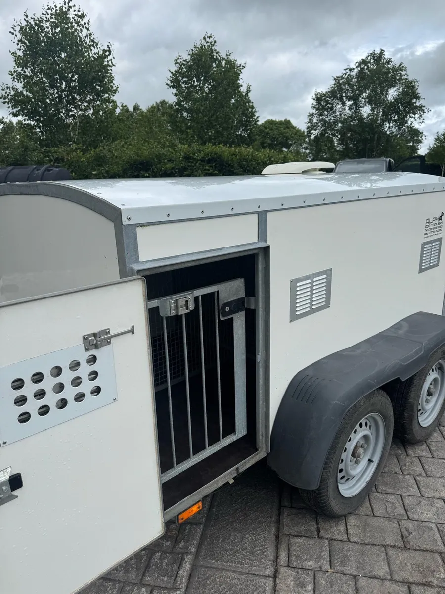 Dog trailer - Image 4
