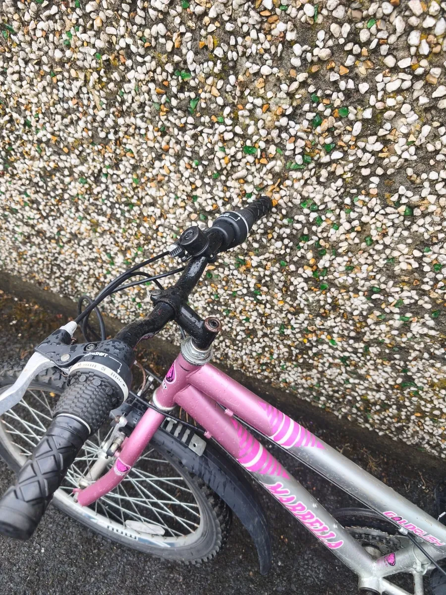 Girls Bicycle - Image 2