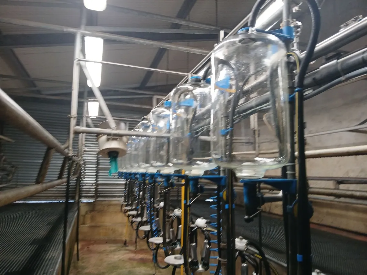 Dairymaster milking machine - Image 4
