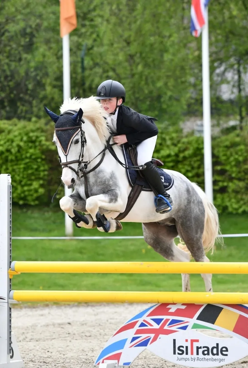 Future 138cm top track pony - Image 3