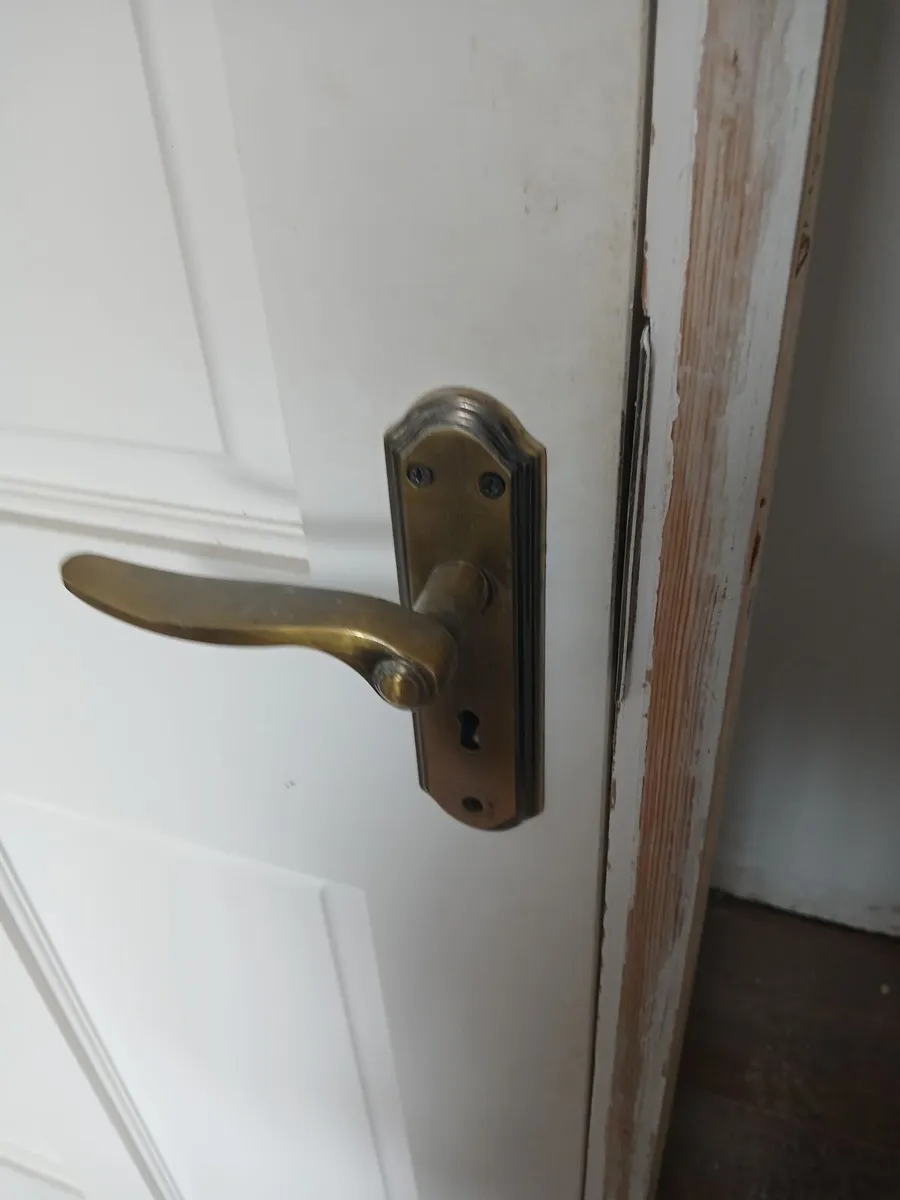 Internal doors - Image 3