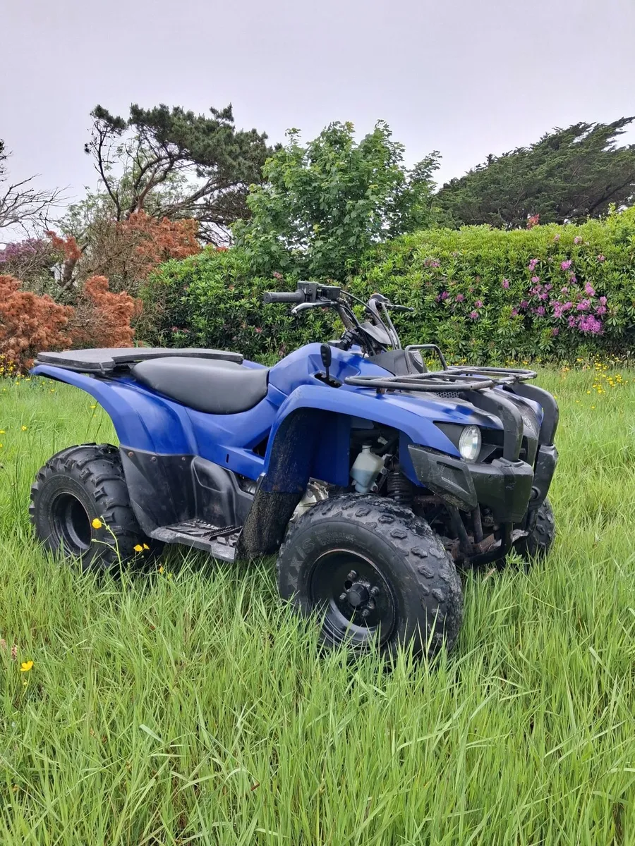 Yamaha Grizzly 300 - Image 1