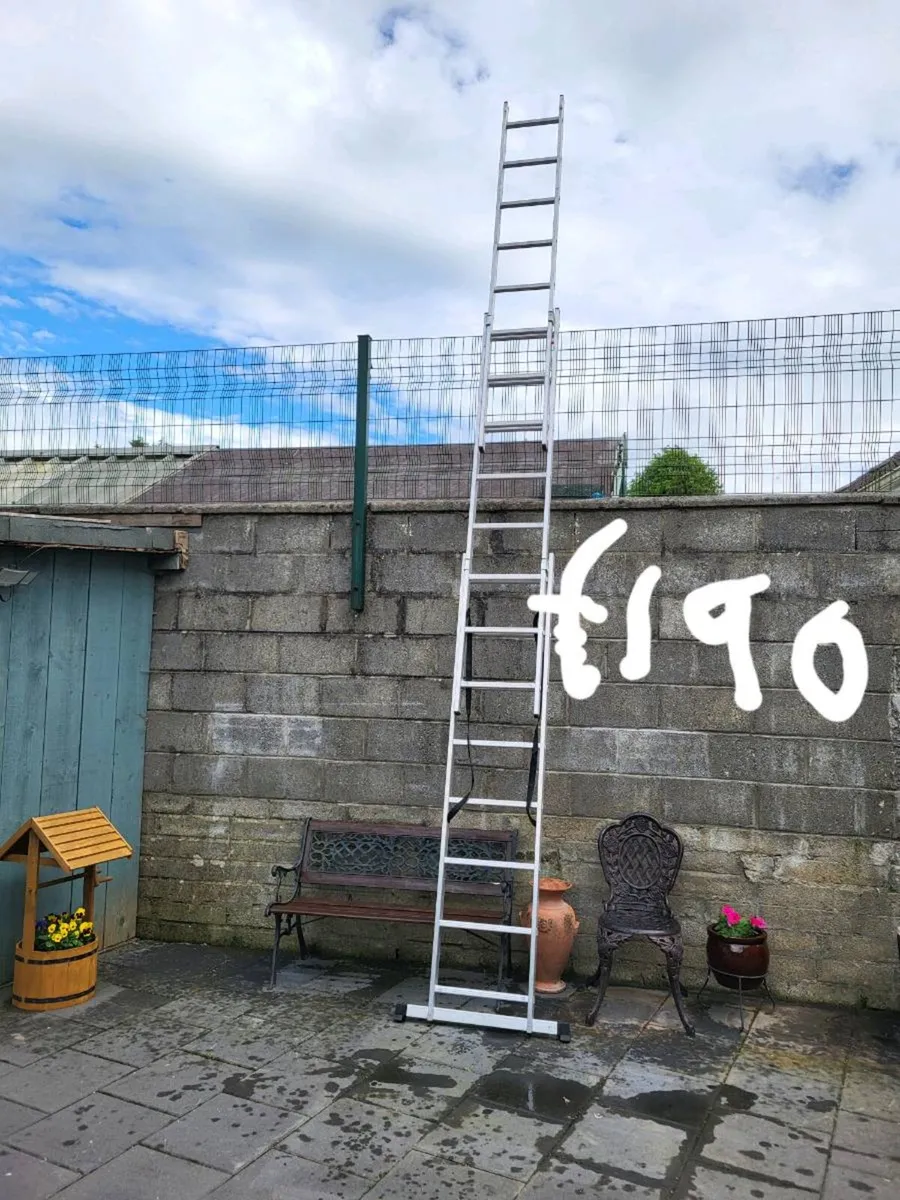 Ladders - Image 2