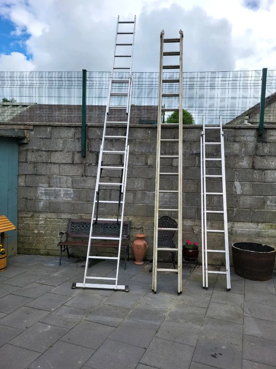 Ladders - Image 4