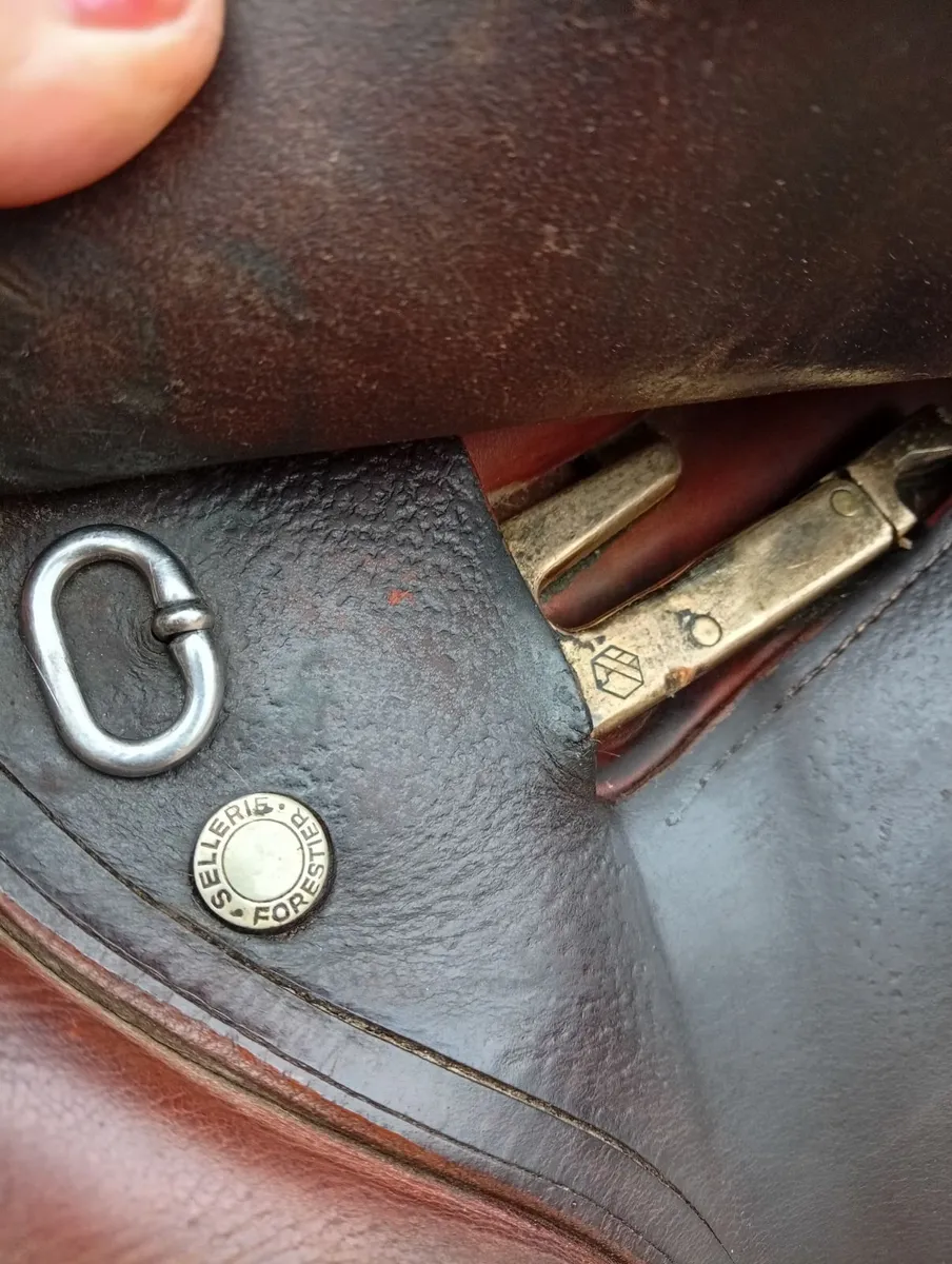 Forestiér Jump Saddle - Image 4