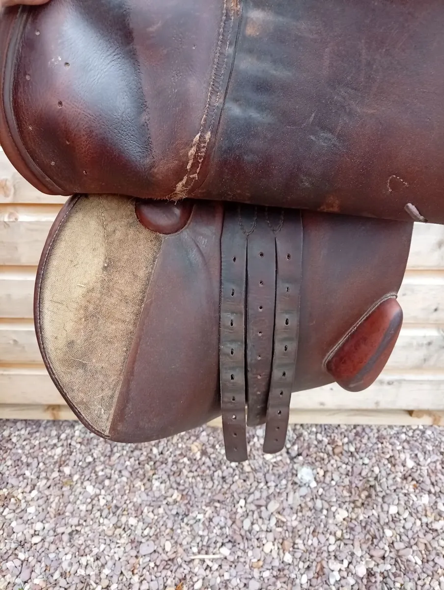 Forestiér Jump Saddle - Image 3