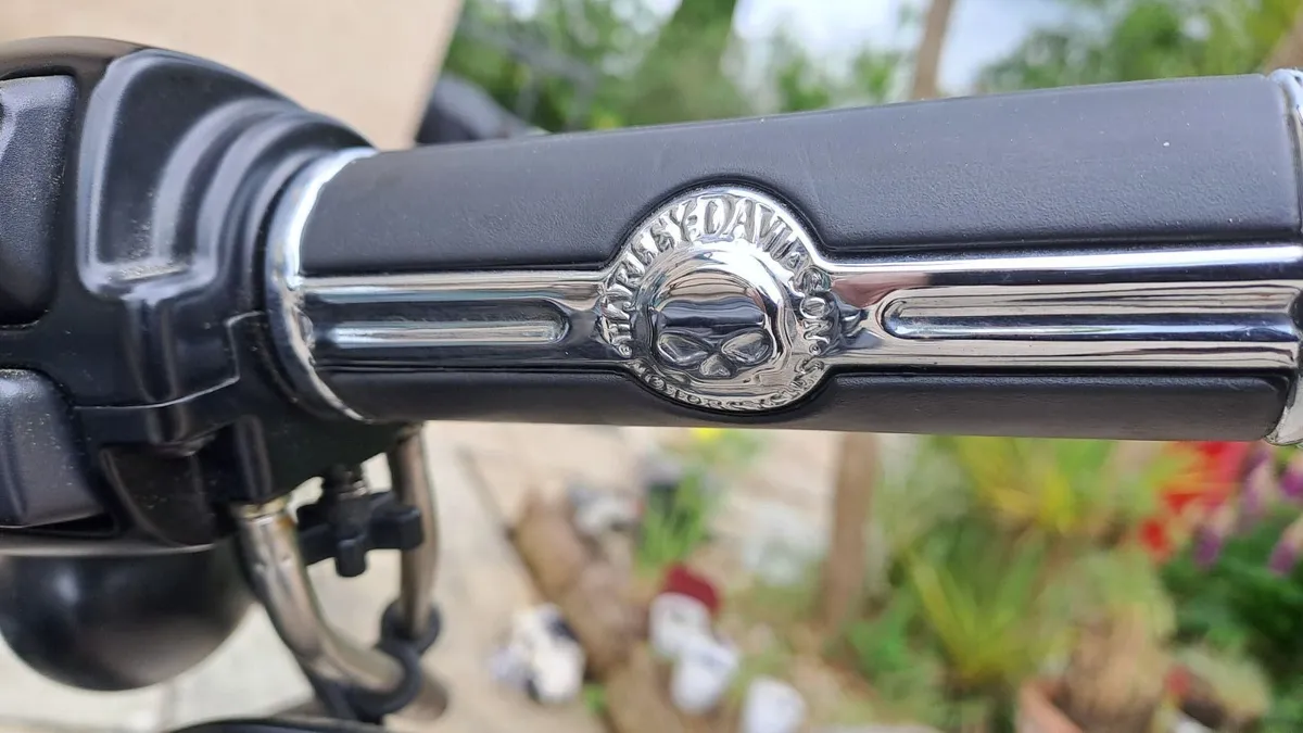 HARLEY DAVIDSON IRON 883 - Image 3