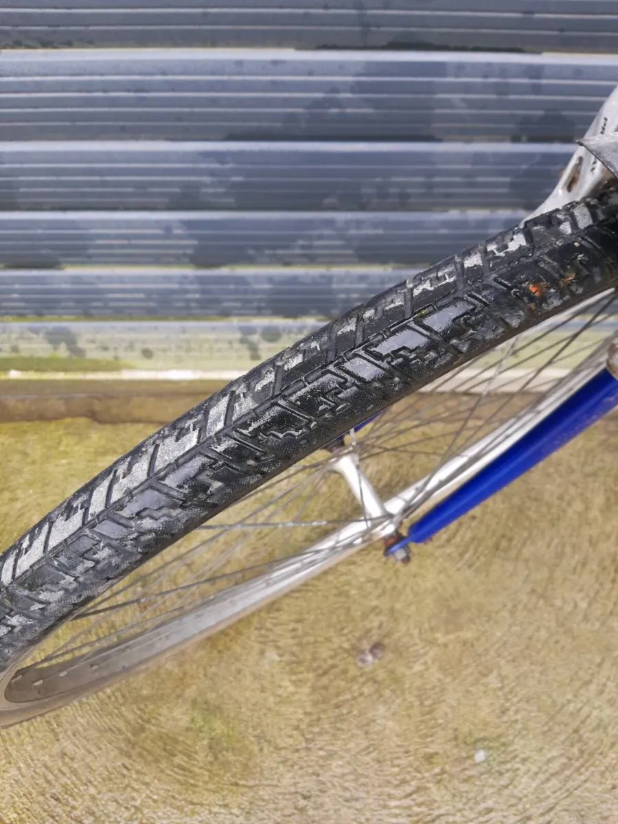 Bicycles - Image 2