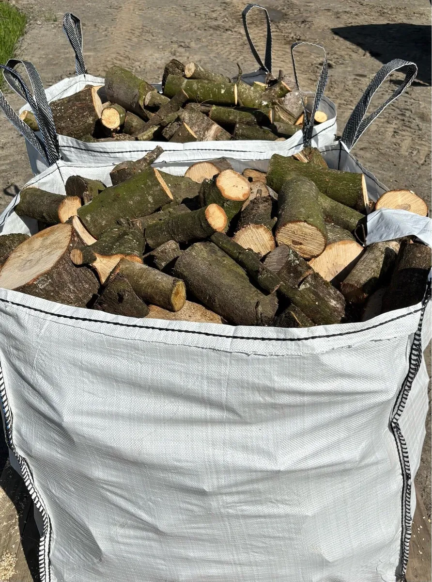 Logs - Image 3