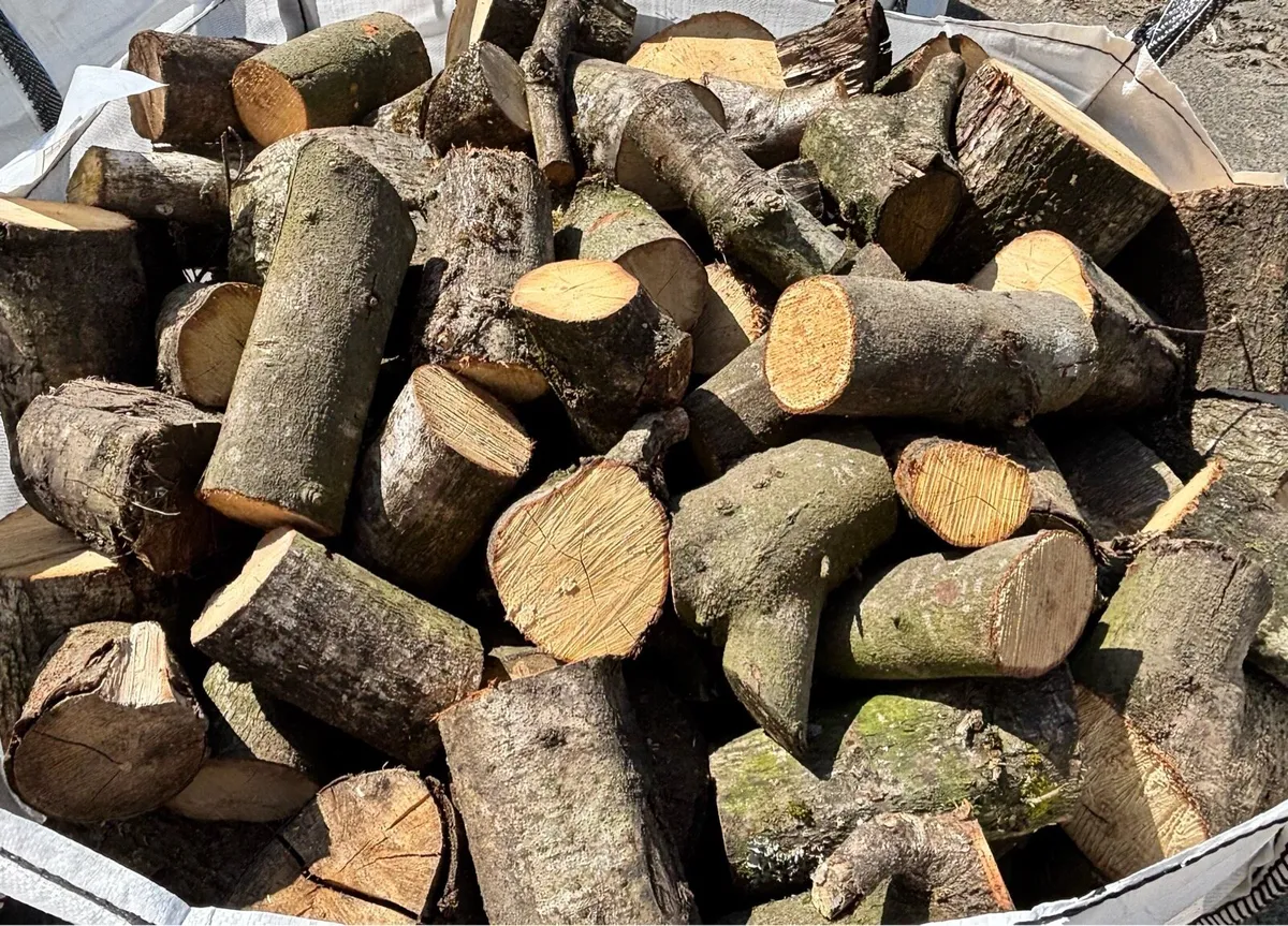 Logs - Image 2