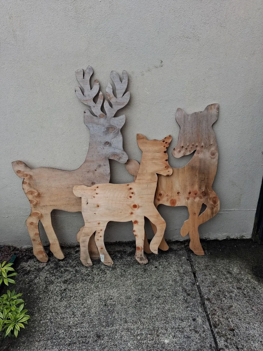 Reindeer - Image 1