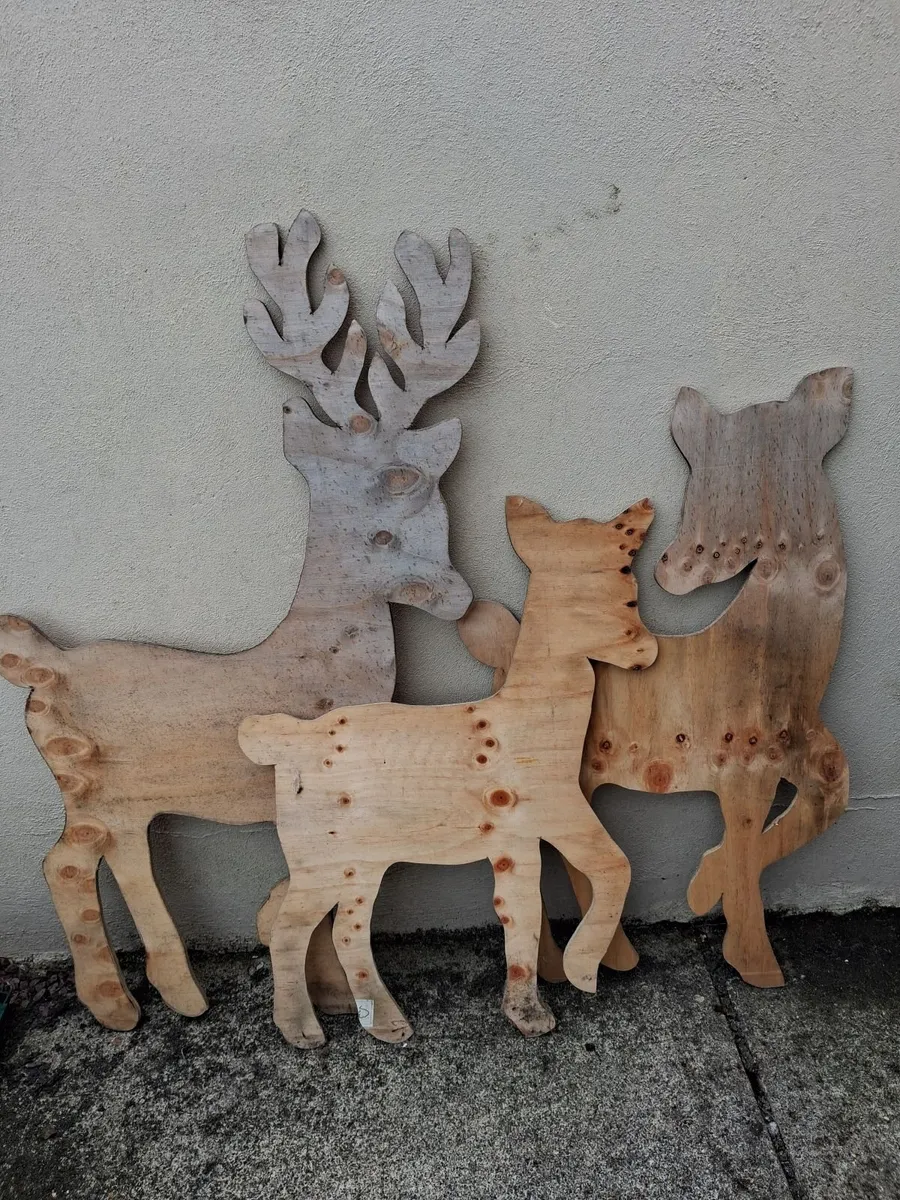 Reindeer - Image 2