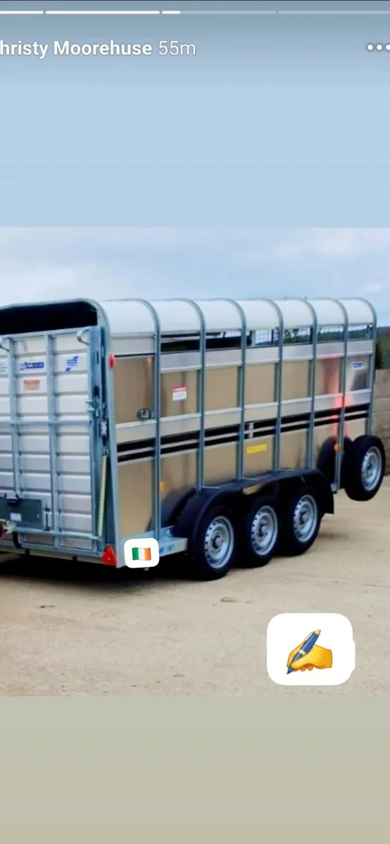 IforWilliams cattle trailer 6 wheeler tryaxle 2tra - Image 1