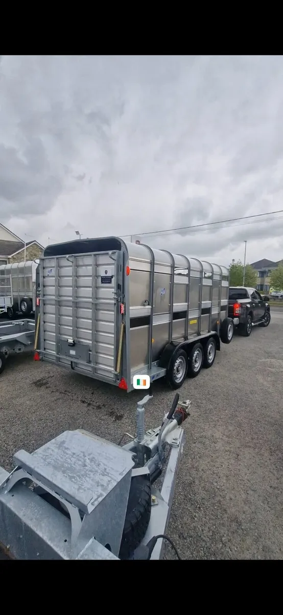 IforWilliams cattle trailer 6 wheeler tryaxle 2tra - Image 2