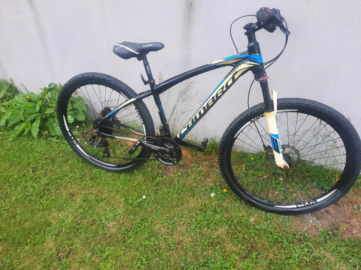 Bike - Image 1