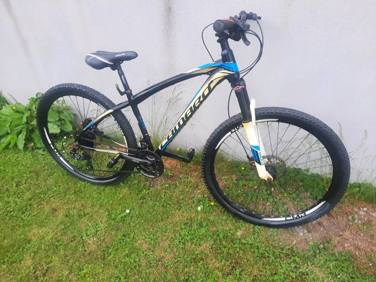 Bike - Image 2