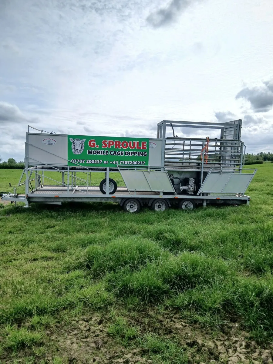 Mobile sheep dipping - Image 1