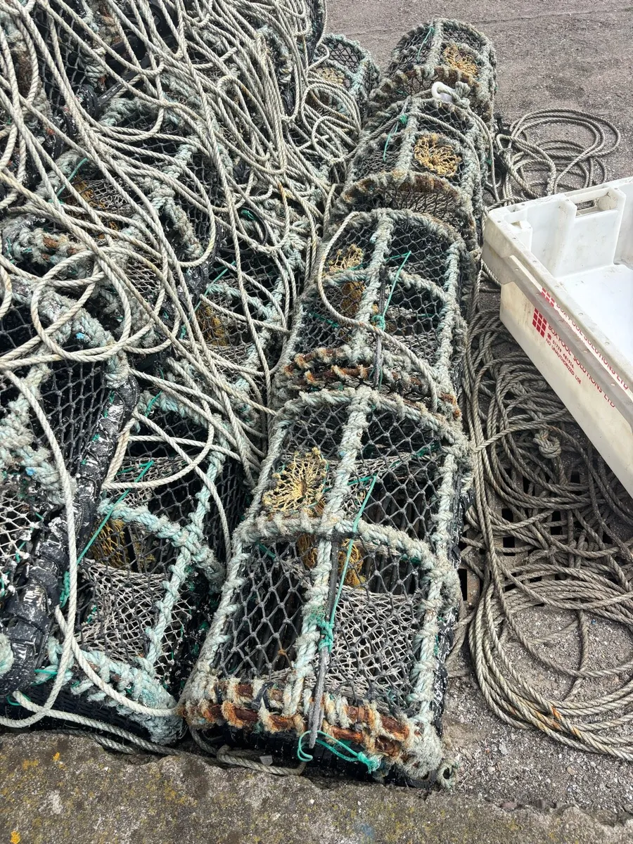 Lobster pots - Image 1